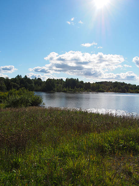 istock Lake in the summer 494413401