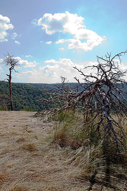 Samara Bend State Natural National Park located in the Samara region Rosiiya view from Mount Strelnaya