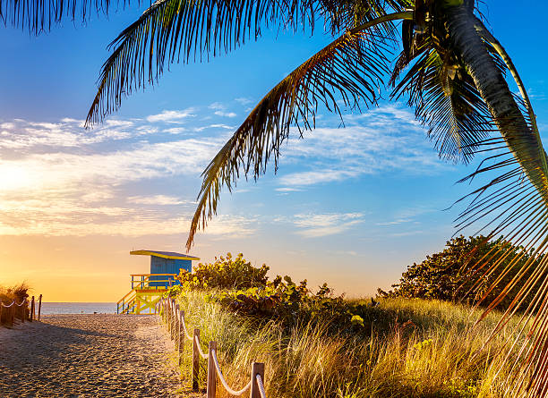 istock Lifeguard Tower, Miami Beach, Florida 494414465