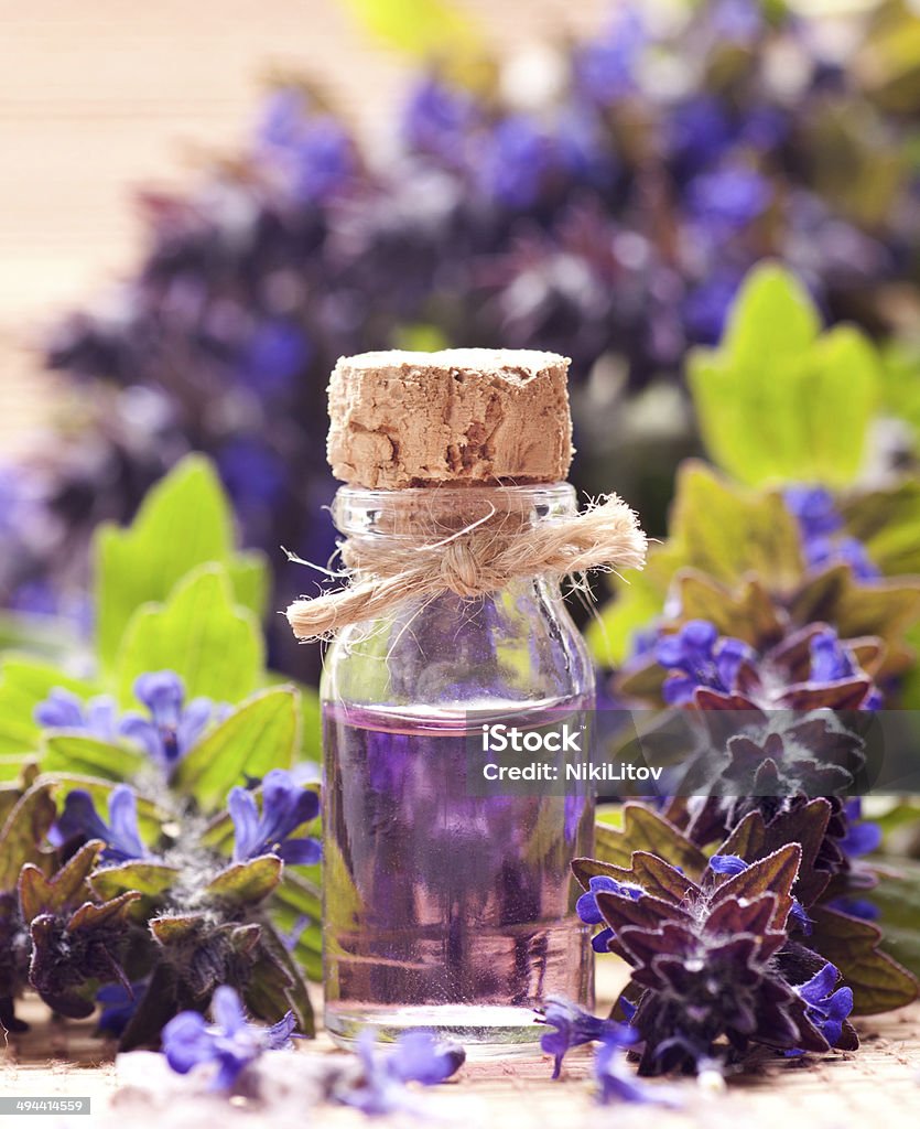 Spa Spa background with violet flowers and glass vial with essential oil. Alternative Therapy Stock Photo