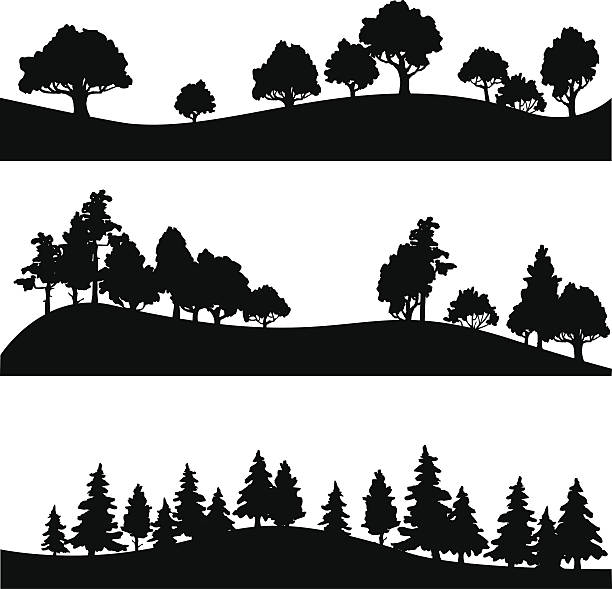 set of different silhouettes of landscape with trees, vector illustration