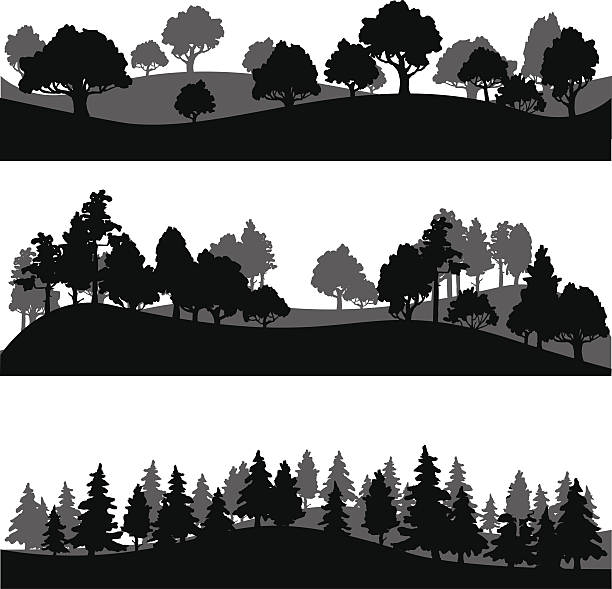 набор различных пейзаж с деревьями - autumn backgrounds biology botany stock illustrations