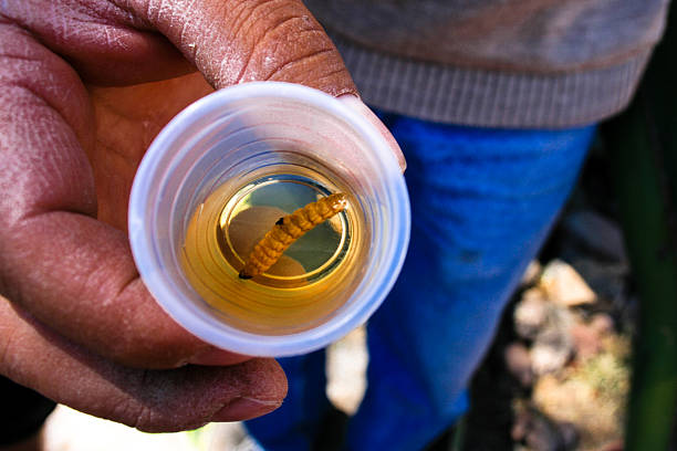 mezcal Mexican vodka with a worm tequila worm stock pictures, royalty-free photos & images