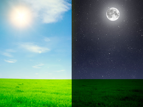 Green field in day and night. Elements of this image furnished by NASA