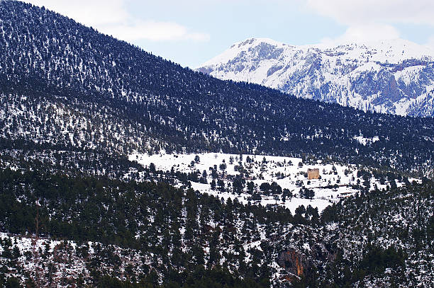 istock Snowy Taurus Mountains And Pine Trees In Turkey 494416336