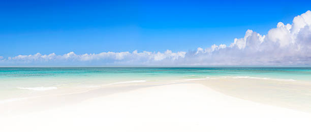 istock Panoramic View of Idyllic Tropical Beach 494416491
