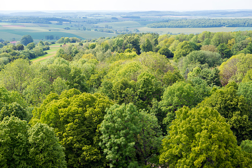 View of trees and fields from atop the Montfaucon American Monument, located in Montfaucon-d'Argonne in Lorraine, France. The monument commemorates the American victory on this location in the Meuse-Argonne Offensive during World War I.