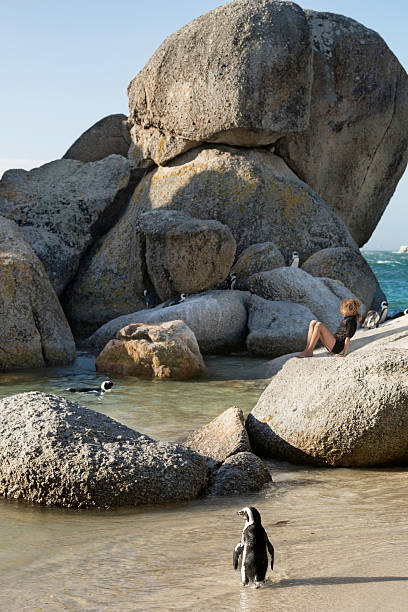 istock Girl surrounded by penguins at the beach 494417329