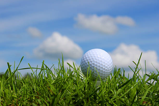 istock Close-up golf ball in grass on golf course, blue sky 494417527