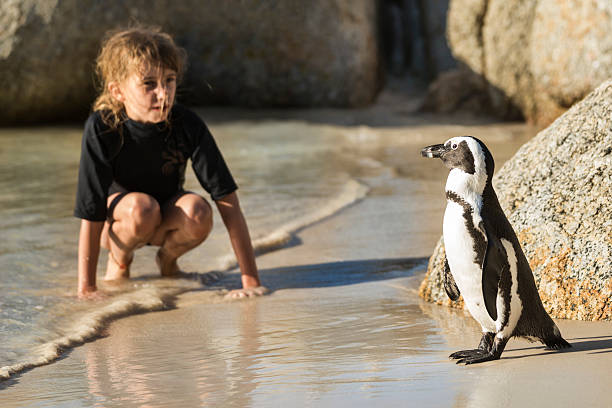istock Girl comes face to face with penguin 494418025