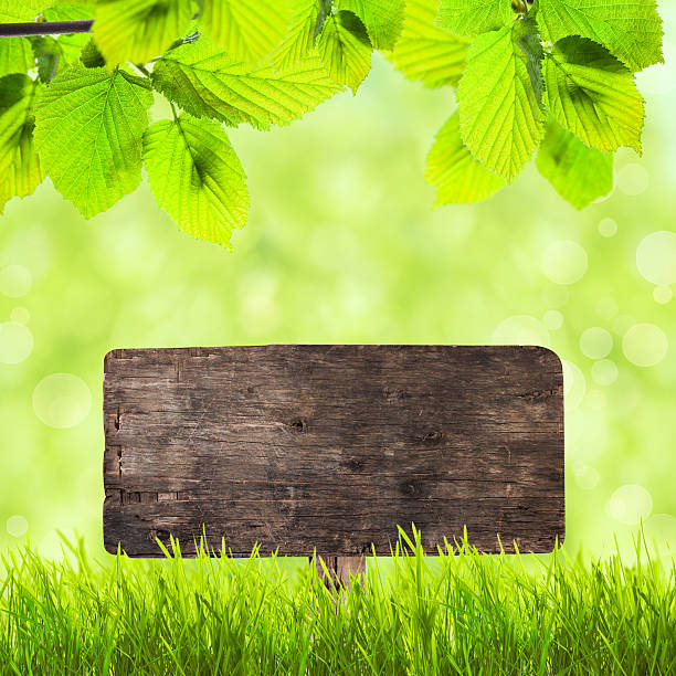 istock Wooden plate over green grass 494418949