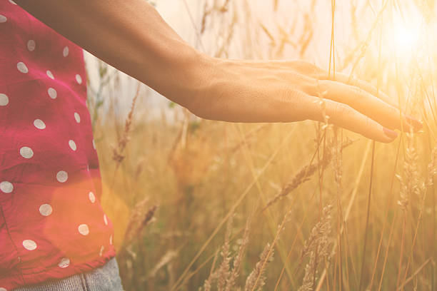 istock Girl relaxing in a wheat-field. 494419396