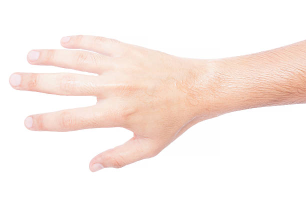 istock hand gesture, cut out on white background 494419684