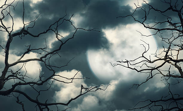 istock Halloween background with forest, sky and moon 494420314