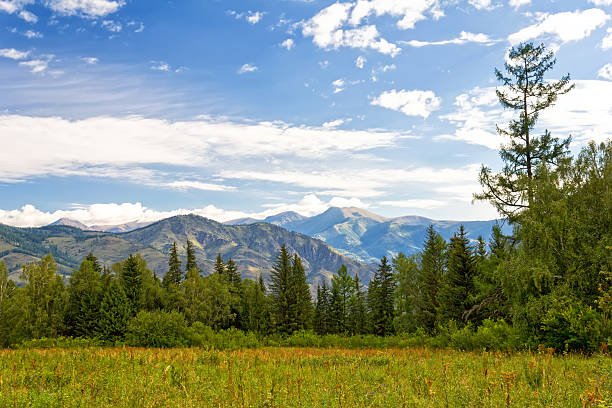 istock Beautiful view in the Altai Mountains, Russia 494420716