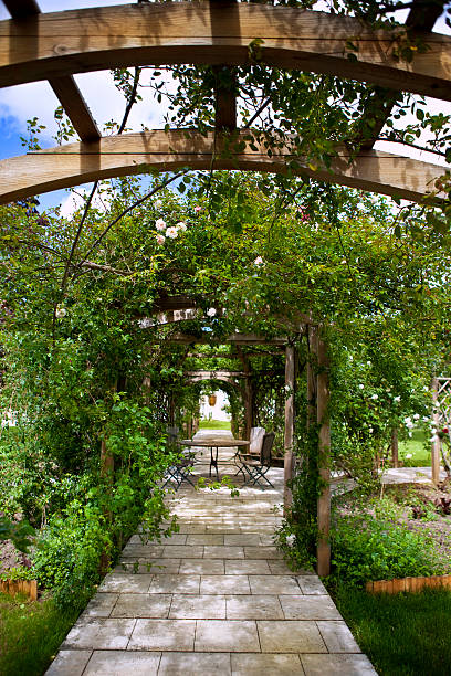istock Rose garden and pergola 494421168