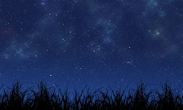 2,200+ Under The Stars Stock Photos, Pictures & Royalty-Free Images ...