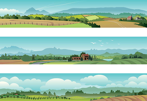 набор сельский пейзаж пейзаж - agriculture tree rural scene nature stock illustrations