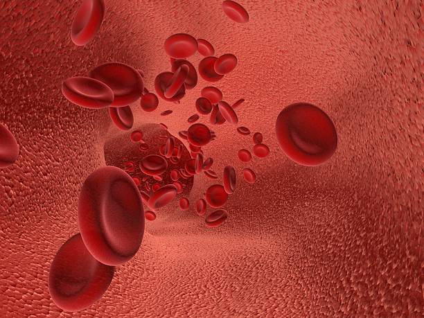 3D Red Blood cells in artery stock photo