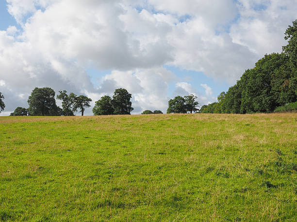 istock View of Tanworth in Arden 494425388