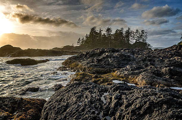 istock Sunset, British Columbia, Tofino 494425904