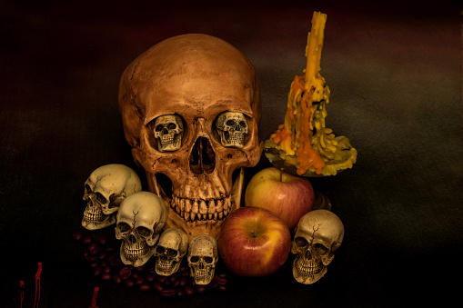 Still life with skull for the halloween