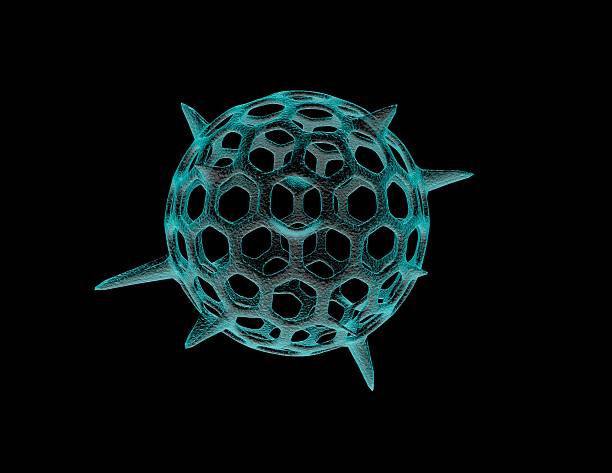 Micro-plankton modeling, hollow blue sphere stock photo