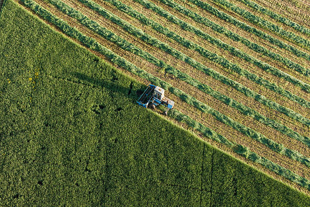 istock aerial view of harvest fields with old combine 494426804