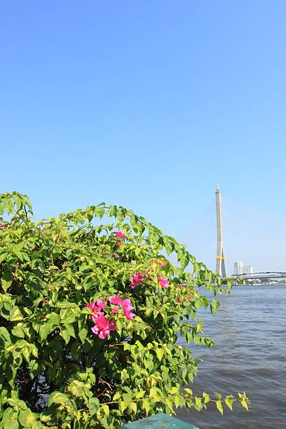 istock Romantic view on the river in Bangkok 494430905