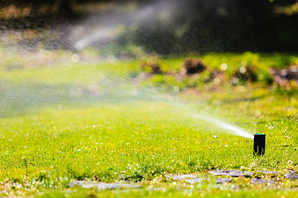 istock Gardening. Lawn sprinkler spraying water over grass. 494430969