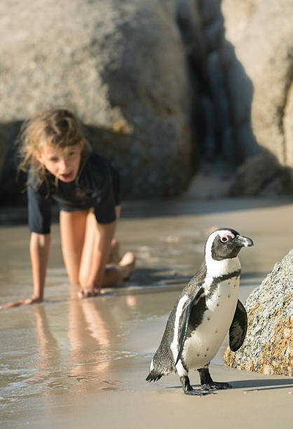 istock Girl discovers a penguin at the beach 494431001