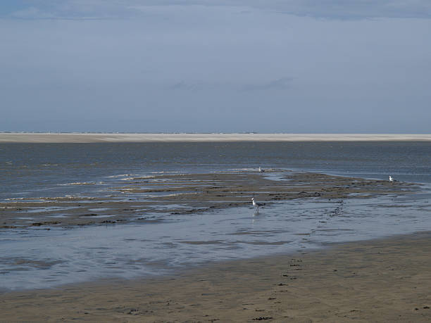 playa - bohlen fotografías e imágenes de stock