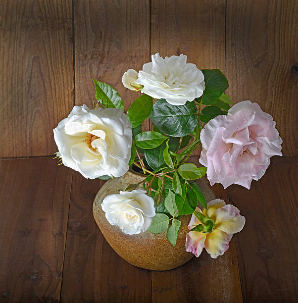 roses in the ceramic vase stock photo
