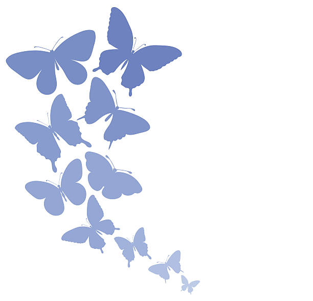 ilustraciones, imágenes clip art, dibujos animados e iconos de stock de fondo con un límite de mariposas volando. - flower illustration and painting single flower textile