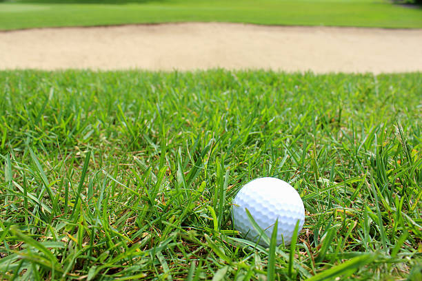 istock Close-up golf ball in grass on golf course, sandy bunker 494433483