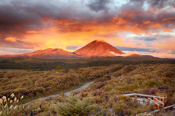 Sunset at Mt.Ngauruho, New Zealand Sunset at Mt Ngauruho, New Zealand tongariro national park photos stock pictures, royalty-free photos & images