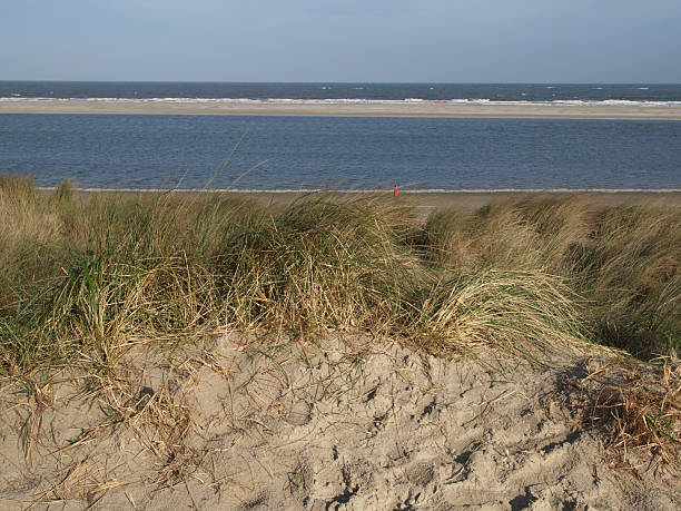 langeoog - bohlen foto e immagini stock