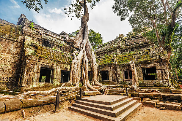 istock Ta Prohm Temple, Angkor, Cambodia 494434109