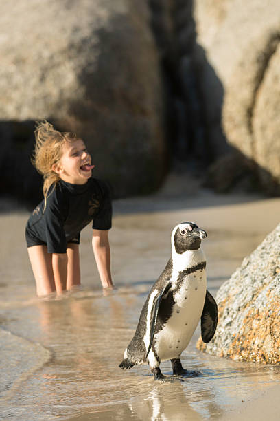 istock Girl playing with a penguin at the beach 494434221