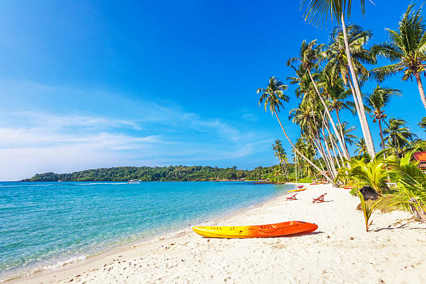 istock kayak at the tropical beach 494436491