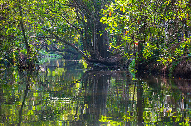 istock Kerala Backwaters meandering jungle river 494436554