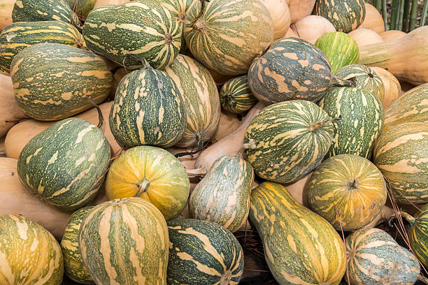 citrouilles, cucurbita argyrosperma, moschata, salle butternut, maxima, c - cushaw photos et images de collection