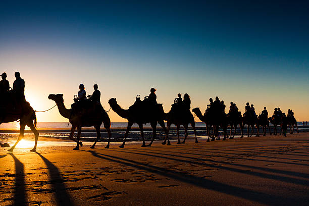 istock Camels on Cable beach, Broome, Australia 494436605