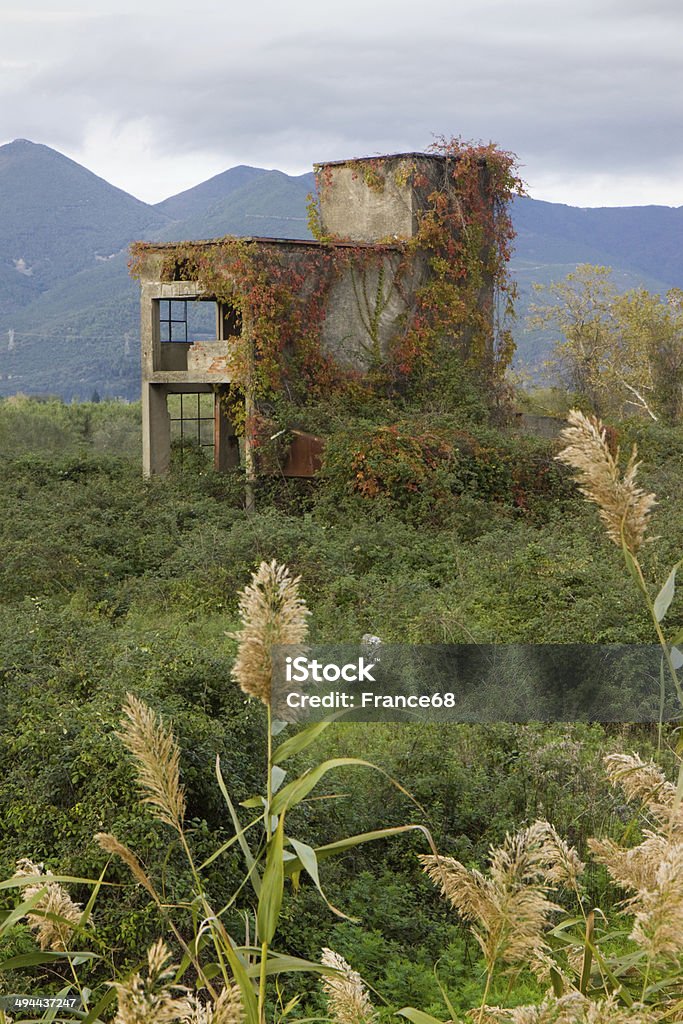 Old abandoned concrete structure Old abandoned concrete structure overtaken by nature Abandoned Stock Photo