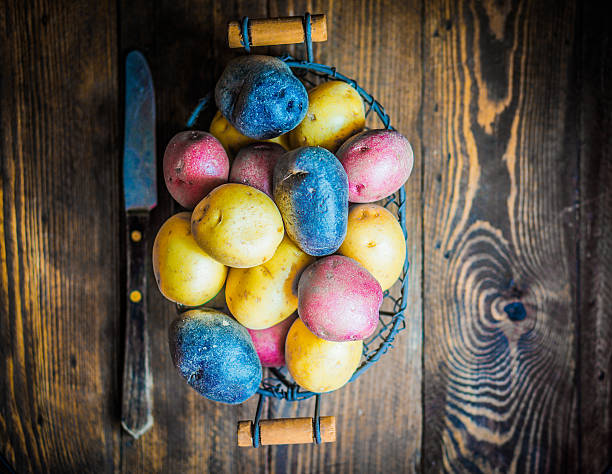 istock Red,blue and yellow potatoes on wooden background 494437719
