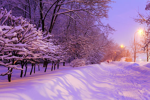 istock Night Winter City Scene 494443374