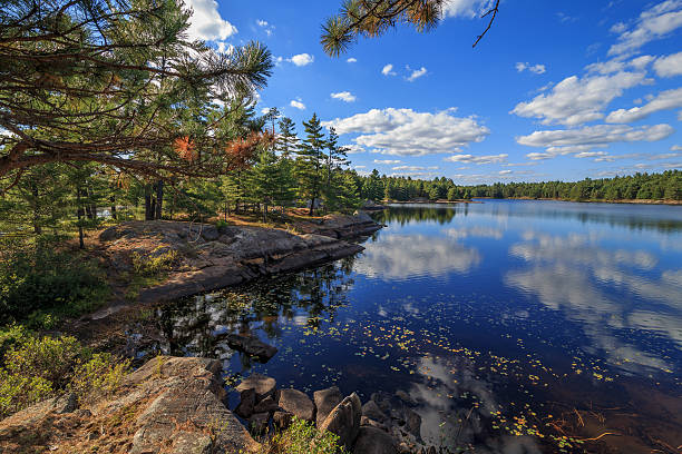 istock Shoreline and mirror smooth lake 494444082