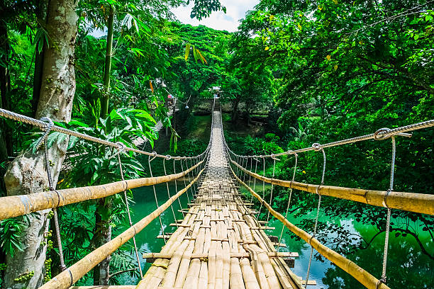 istock Bamboo pedestrian suspension bridge over river 494444484