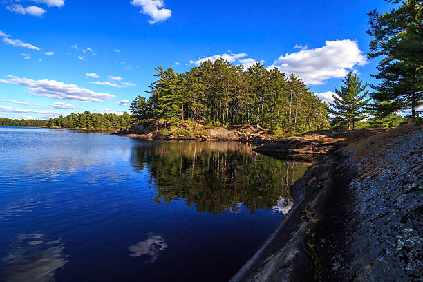 istock Shoreline of lake 494444534