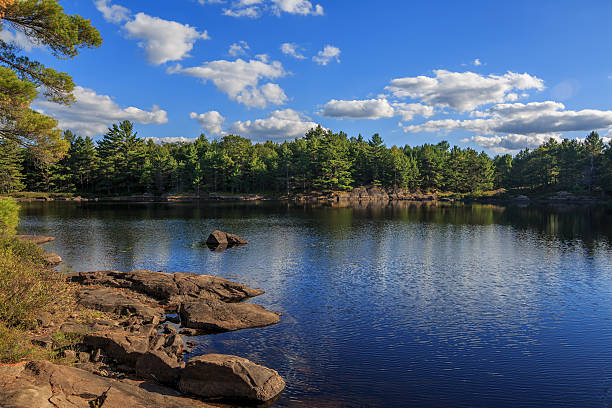 istock Ontario wilderness shoreline 494444790